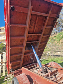 Camion 50 ribaltabile (patente B)