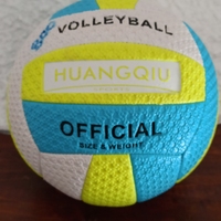 Palla da volley