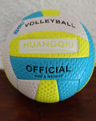 Palla da volley
