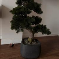 Bonsai artificiale realistico 70cm