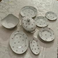 Servizio da tavola Richard Ginori 