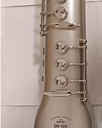 SAX CASIO DH-100 + CASSA AUDIO