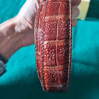 Cintura coccodrillo nuova 3cm marrone / bordeaux