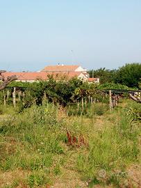Casa di campagna con terreno e capannone