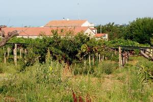 Casa di campagna con terreno e capannone