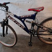 Bicicletta biammortizzata 