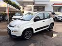 fiat-panda-1-0-firefly-s-s-hybrid-city-life-70-cv