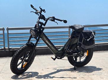 bici elettrica 