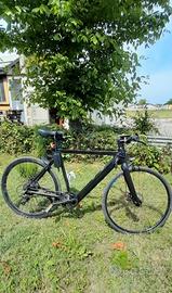 bicicletta pedalata assistita.