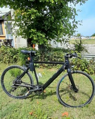 bicicletta pedalata assistita.