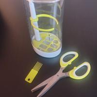 erbe aromatiche conservazione frigo orto cucina