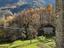 Immagine 27