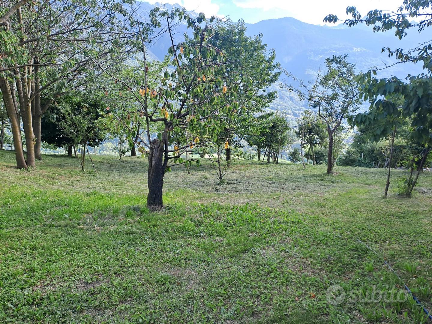 Rustico da ristrutturare con terreno - Vista 3