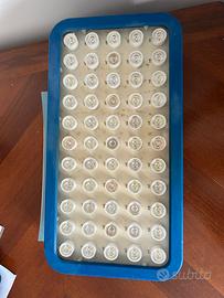 Lampada acquario marino