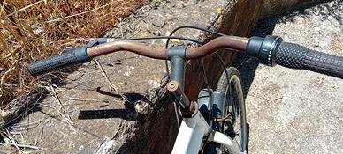 Bici bianchi collezione