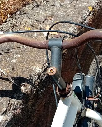Bici bianchi collezione