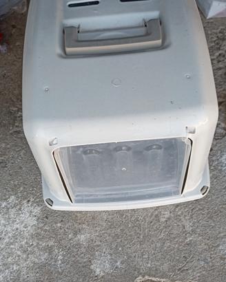 lettiera per gatto  usata