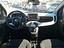 Immagine 12