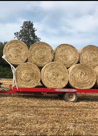 Fieno erbaio misto e 1º taglio