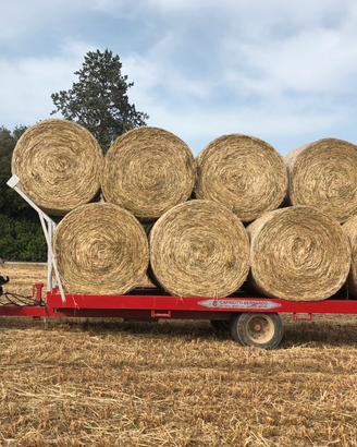 Fieno erbaio misto e 1º taglio