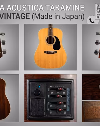 chitarra Takamine FP360S 