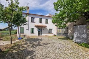 Rustico/Casale/Corte Casaleone [124VRG]