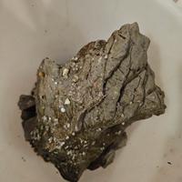 rocce e ghiaia per acquario 