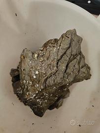 rocce e ghiaia per acquario 