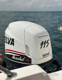 Barca Bellingardo Day 20