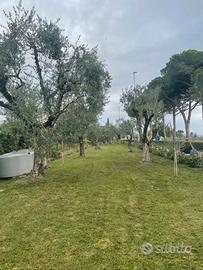 Terreno Moniga Del Garda