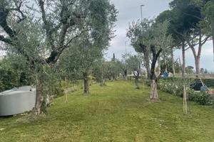 Terreno Moniga Del Garda