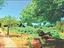 Immagine 14