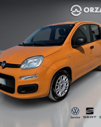 Fiat Panda 1.2 Easy VENDITE 3491558563 - 347867311