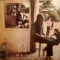 Album doppio 2 Lp "Ummagumma" Pink Floyd