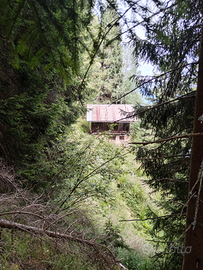 Fienile e terreno boschivo