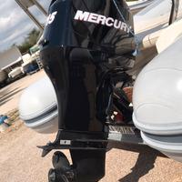 Motore fuoribordo Mercury 115cv 4T