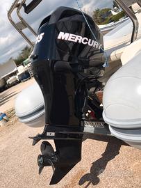Motore fuoribordo Mercury 115cv 4T