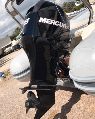 Motore fuoribordo Mercury 115cv 4T