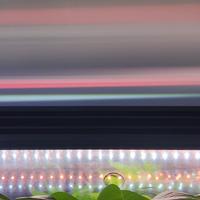 Privato vende acquario 100 lt