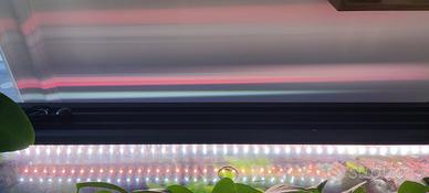 Privato vende acquario 100 lt