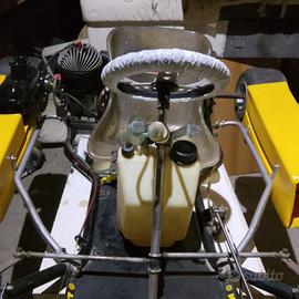Kali kart 100 cc