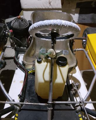 Kali kart 100 cc