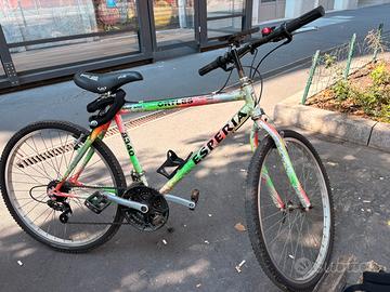 Bicicletta MBT
