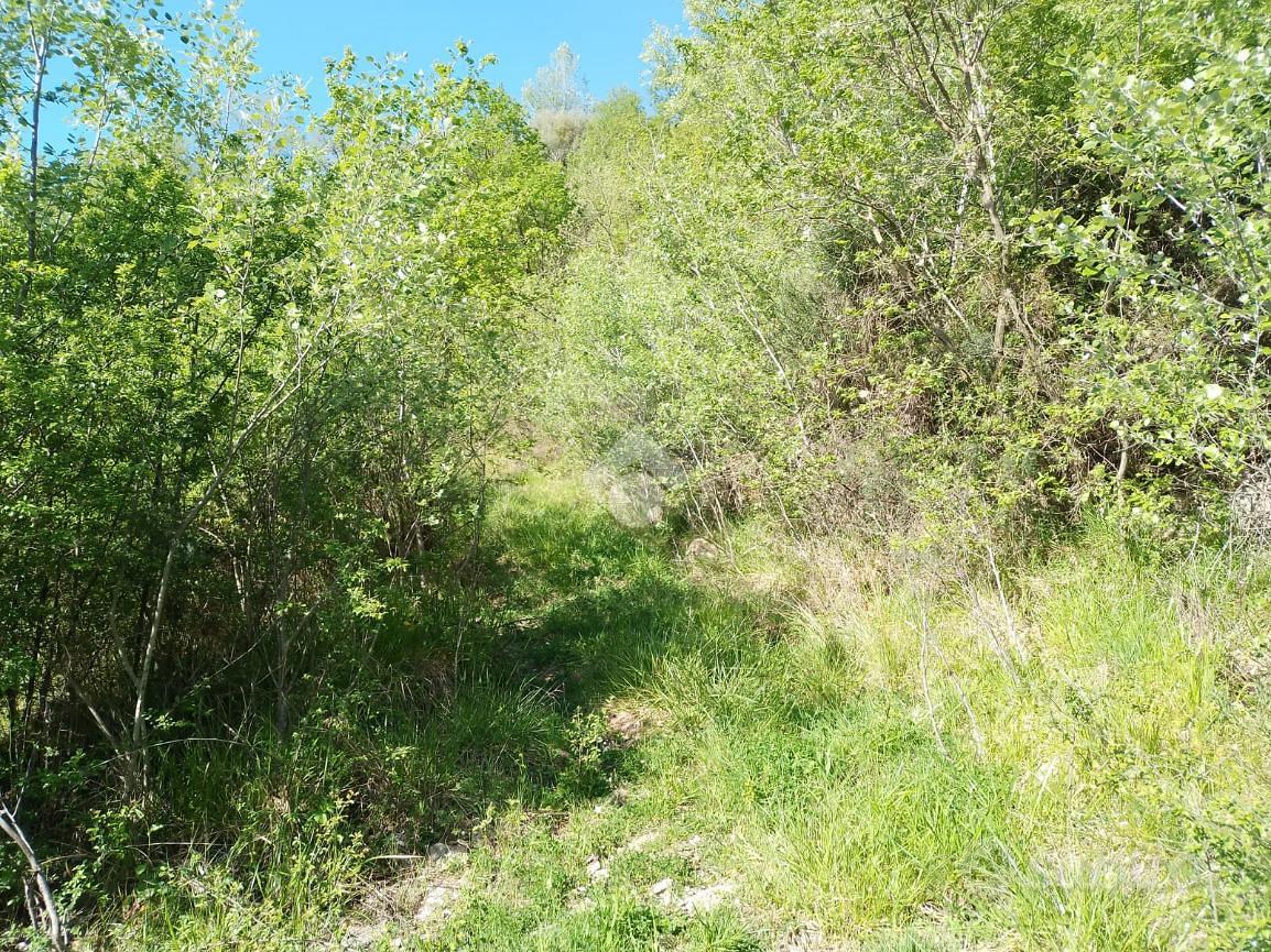 TER. AGRICOLO A CASTROLIBERO - Vista 4