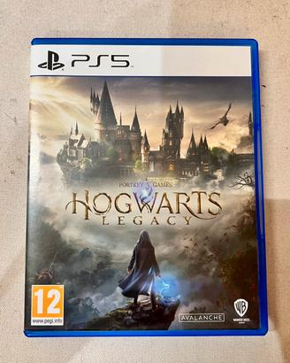 Hogwarts Legacy Ps5