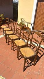 6 sedie legno