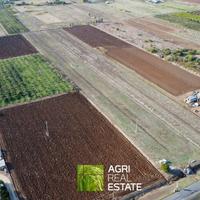 Cisterna di Latina (LT) - Terreno 1,2 HA | TR449
