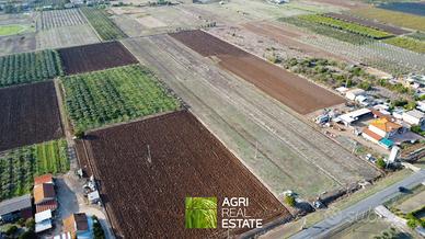 Cisterna di Latina (LT) - Terreno 1,2 HA | TR449