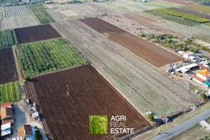 Cisterna di Latina (LT) - Terreno 1,2 HA | TR449