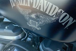 Harley Davidson Iron 883 2018